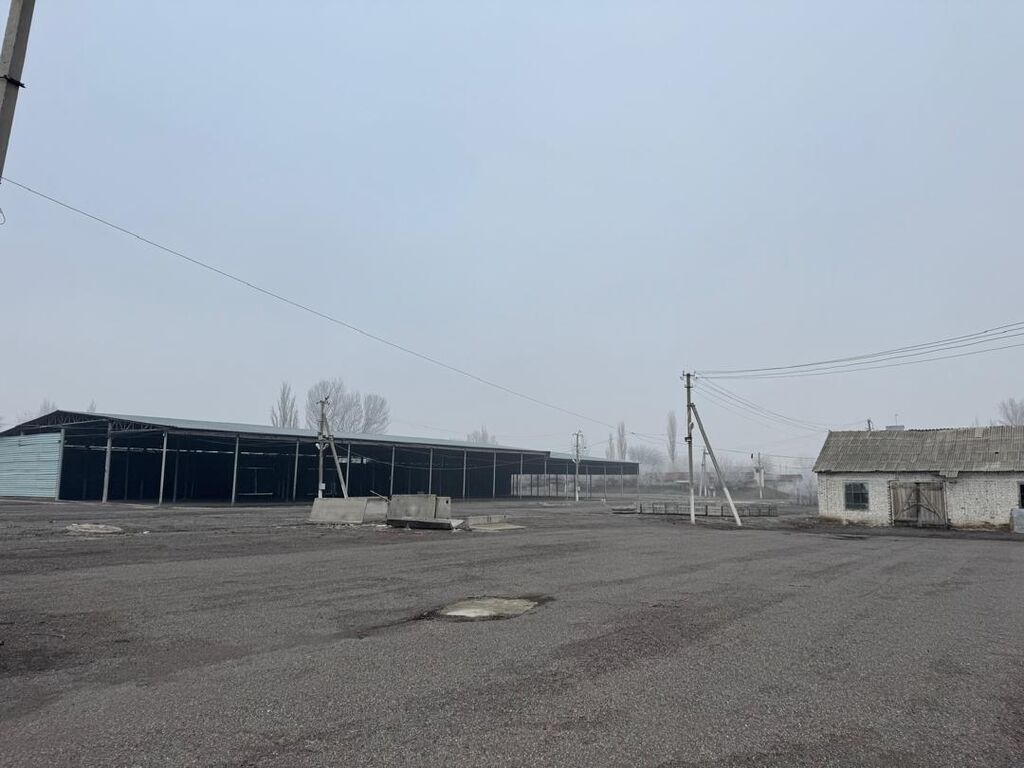 800 соток, Красная книга: фото 5