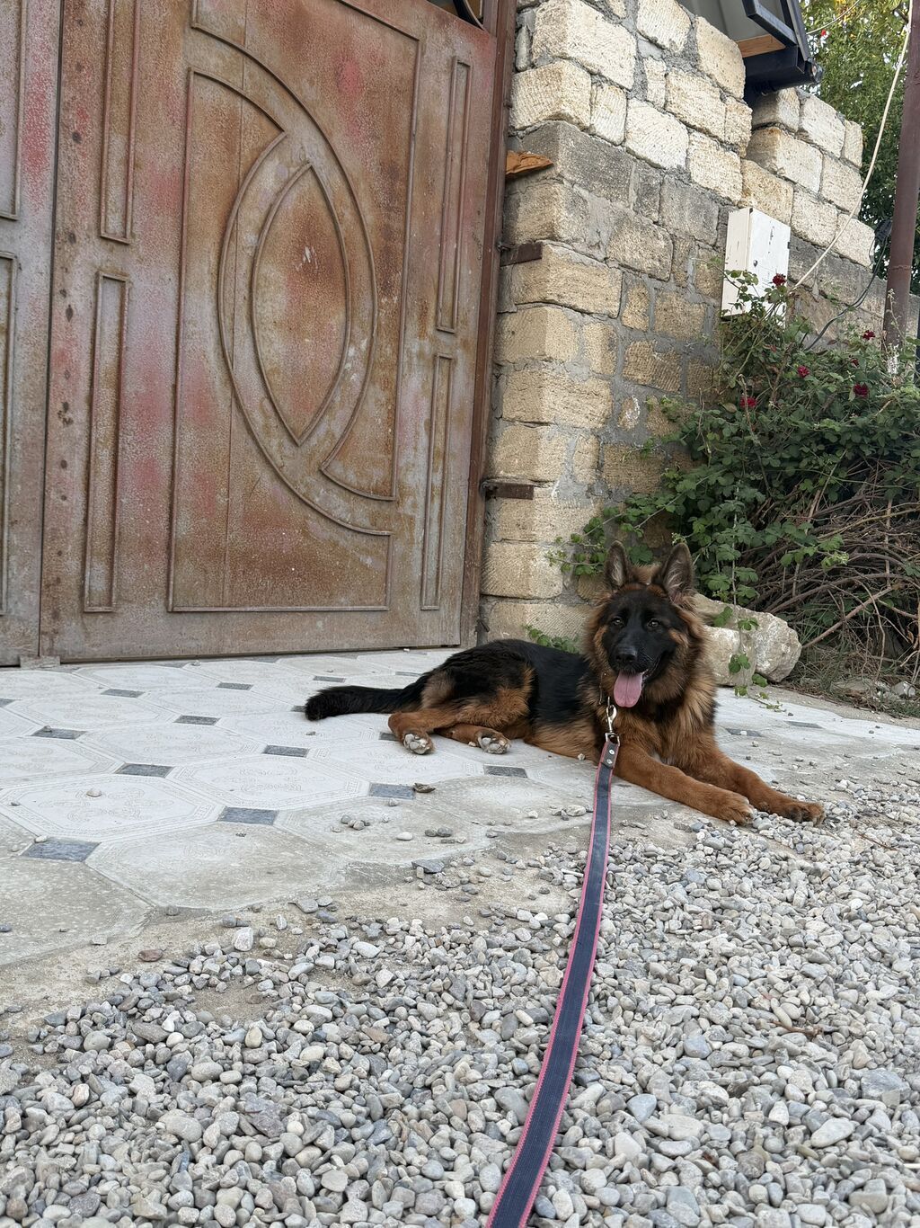 Salam kirayə ev axtarıram yeni tikiliyə üstünlük verilir Sumqayıtda