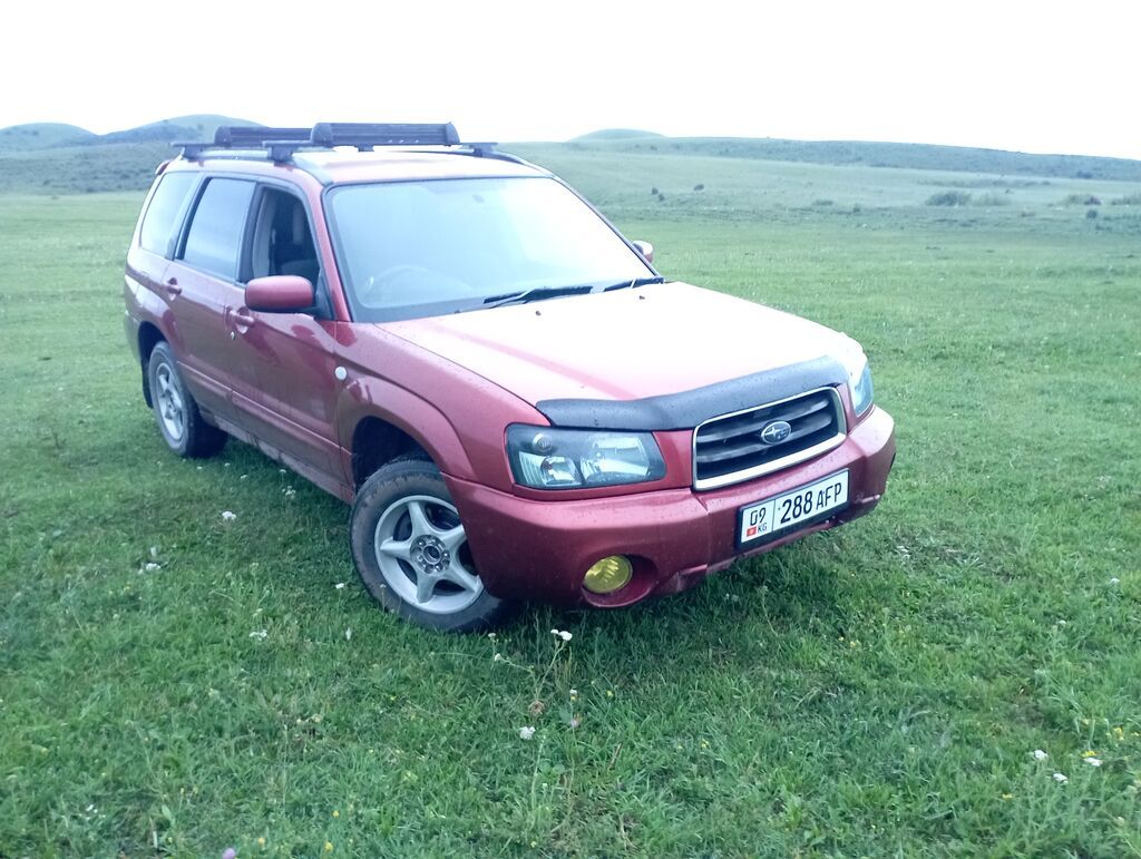 Subaru Forester: 2004 г., 2 л, Автомат, Бензин, Кроссовер: фото 5