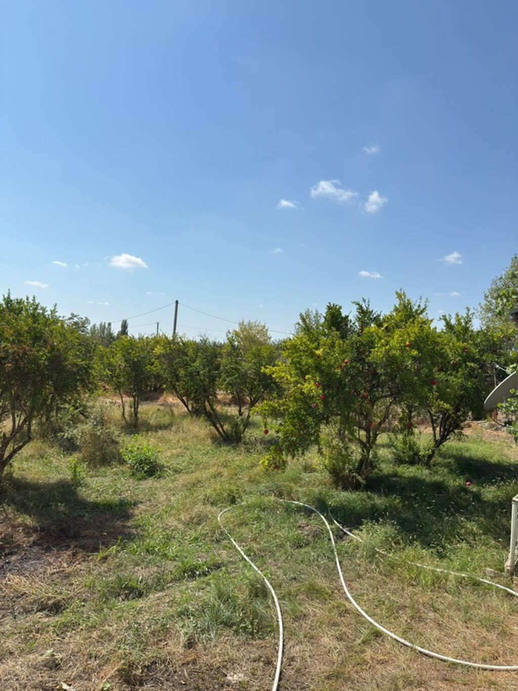 3 otaqlı, 72 kv. m