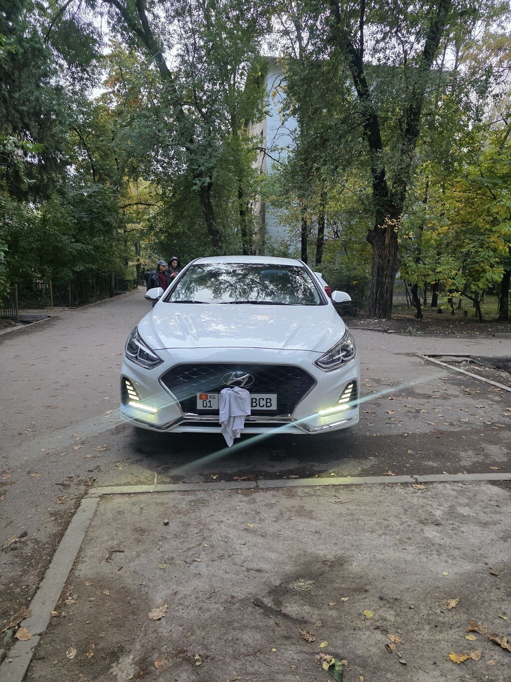 Hyundai Sonata: 2020 г., 2 л, Автомат, Газ, Седан: фото 1