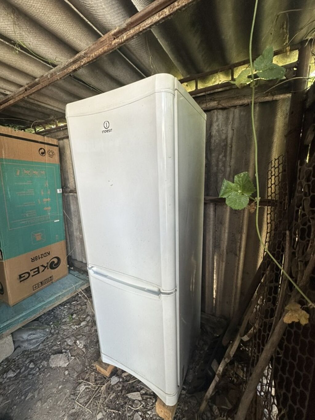 Холодильник Indesit, двухкамерный, белый, нижняя морозильная камера: фото 3