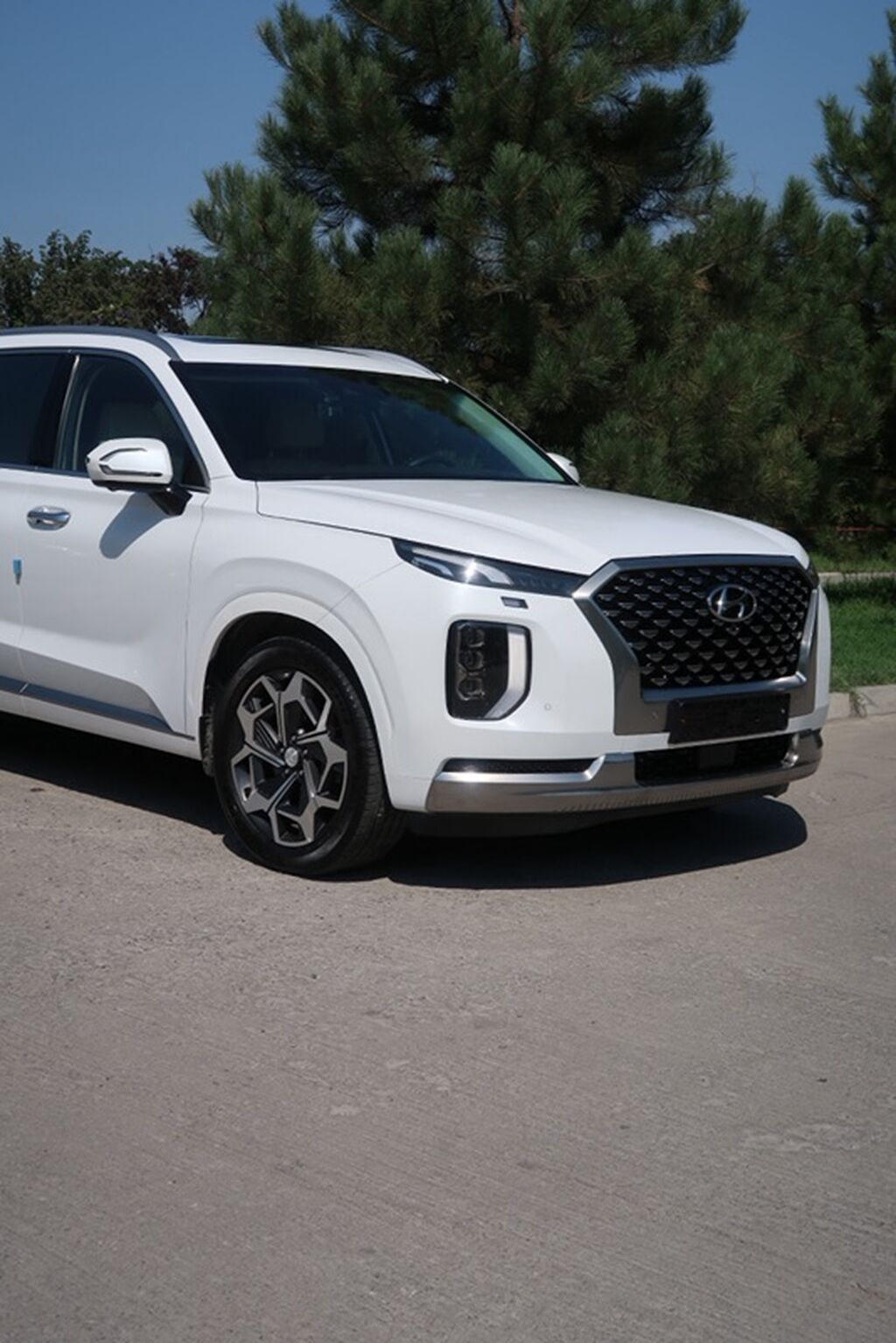 Hyundai Palisade: 2021 г., 2.2 л, Автомат, Дизель, Кроссовер: фото 3