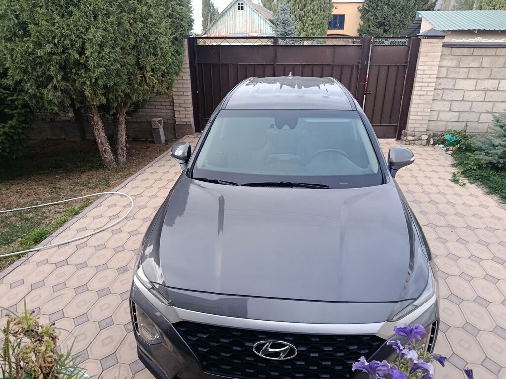 Hyundai Santa Fe: 2019 г., 2 л, Автомат, Дизель, Кроссовер: фото 3