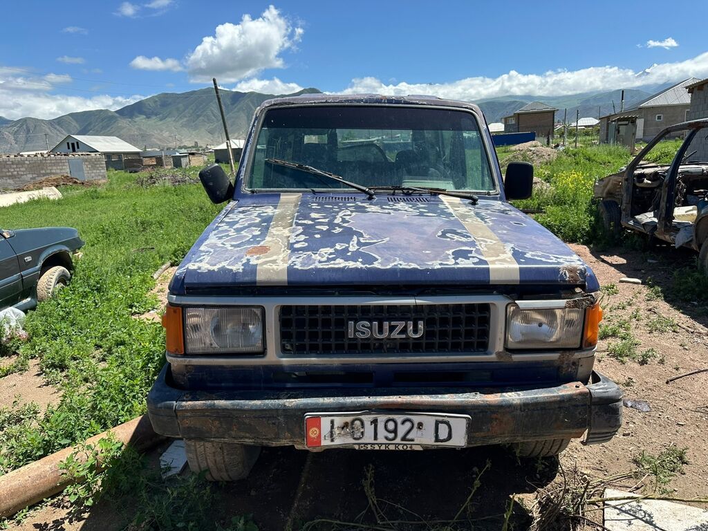 Isuzu Trooper: 1989 г., Механика, Дизель, Внедорожник: фото 1