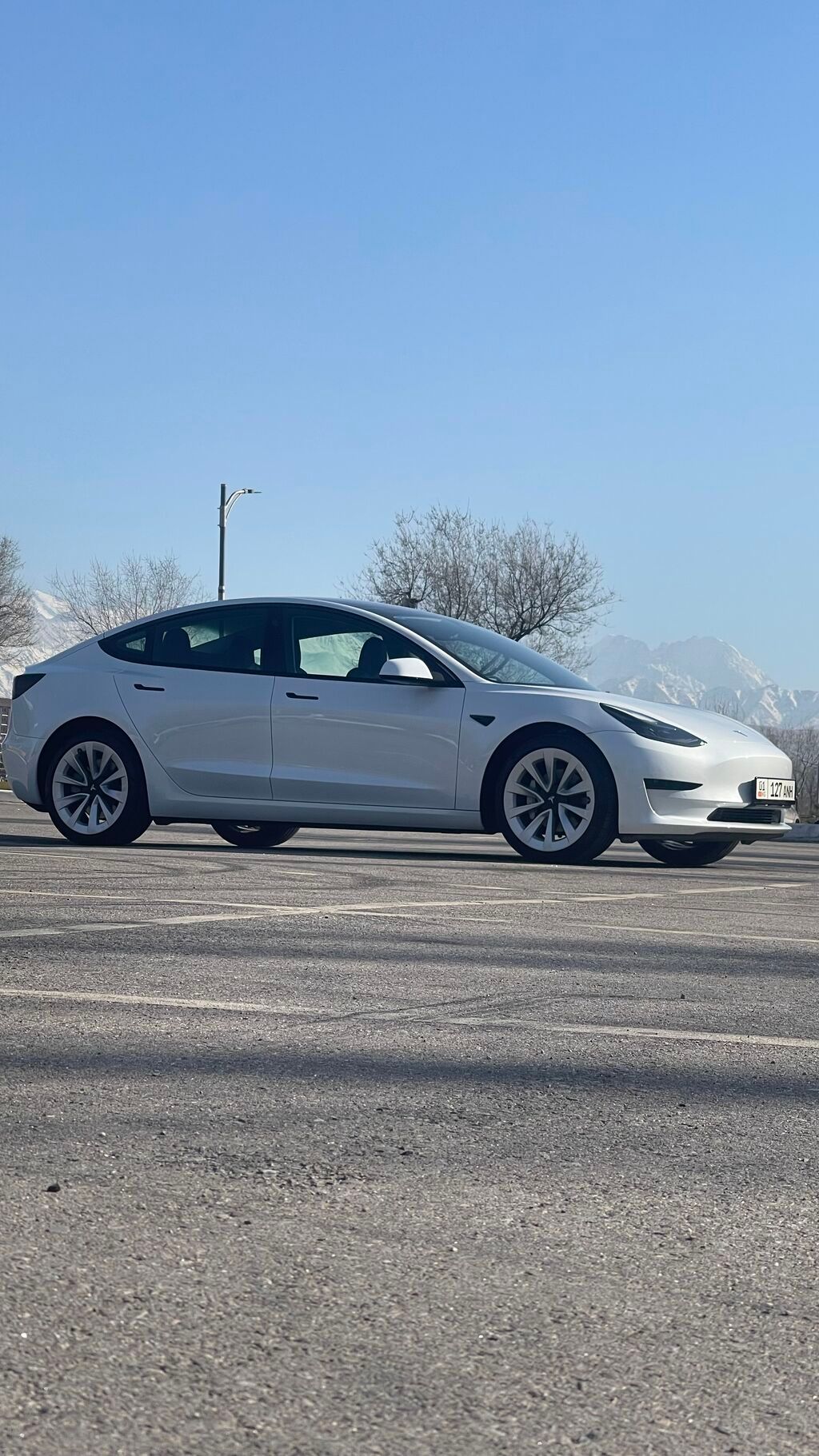 Tesla Model 3: 2021 г., Автомат, Электромобиль, Седан: фото 5