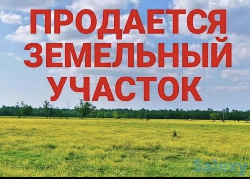 1 соток: фото 2