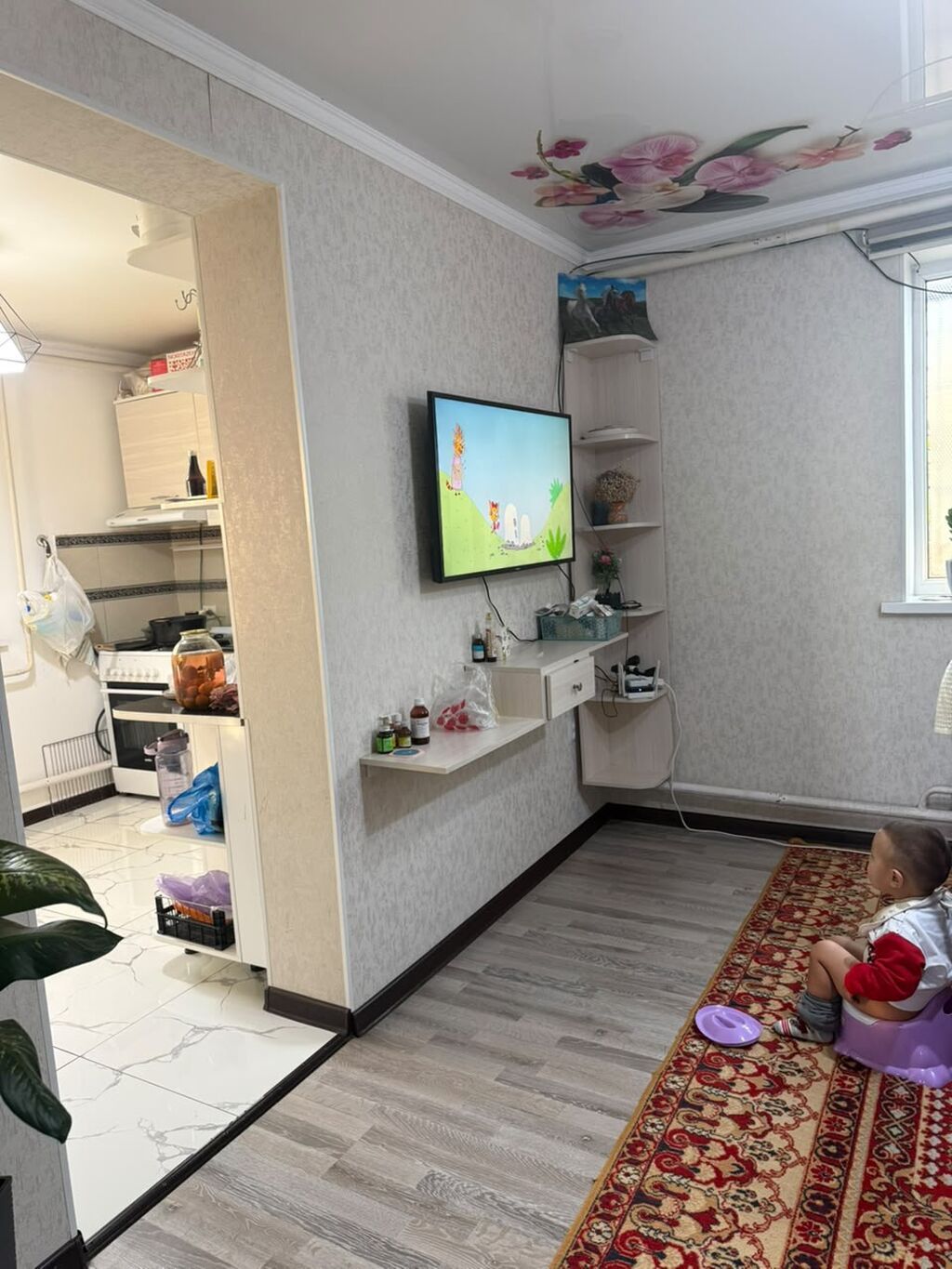 4 комнаты, 100 м², 5 соток, Бишкек, Нижний Орок с. Собственник: фото 5