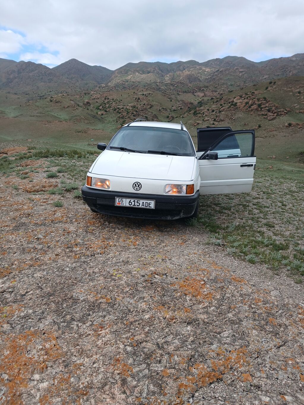 Volkswagen Passat: 1991 г., Универсал — фото 3