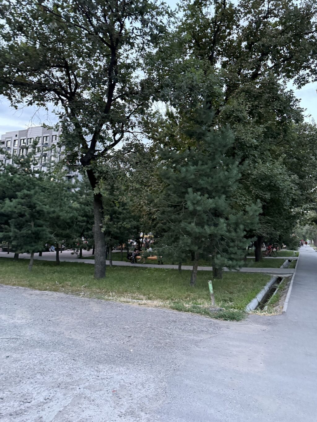 1 комната, 49 м², Элитка, 4 этаж: фото 8