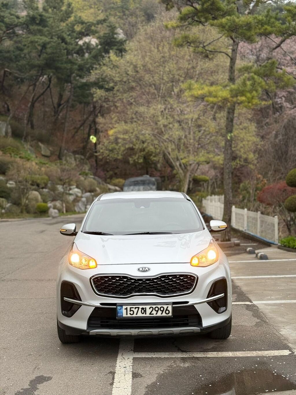 Kia Sportage: 2019 г., 1.6 л, Автомат, Дизель, Кроссовер: фото 3