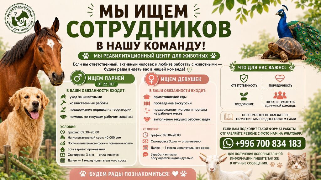 МЫ ИЩЕМ СОТРУДНИКОВ В НАШУ КОМАНДУ! Если вы ответственный: фото 2
