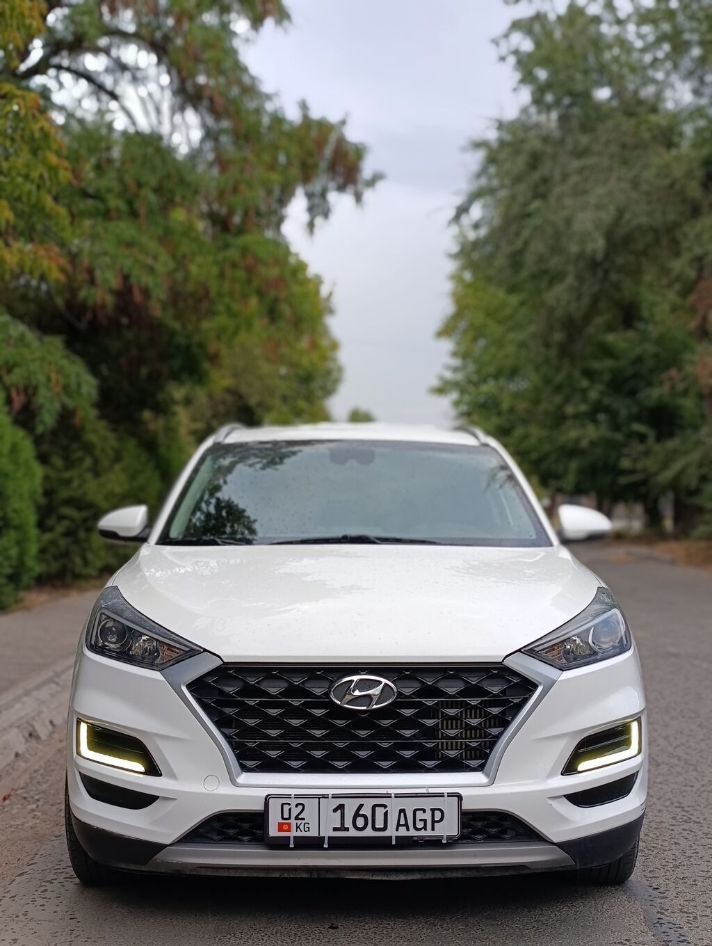 Hyundai Tucson: 2019 г., 2 л, Автомат, Дизель, Кроссовер: фото 3