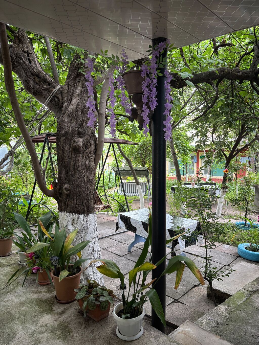 5 otaqlı