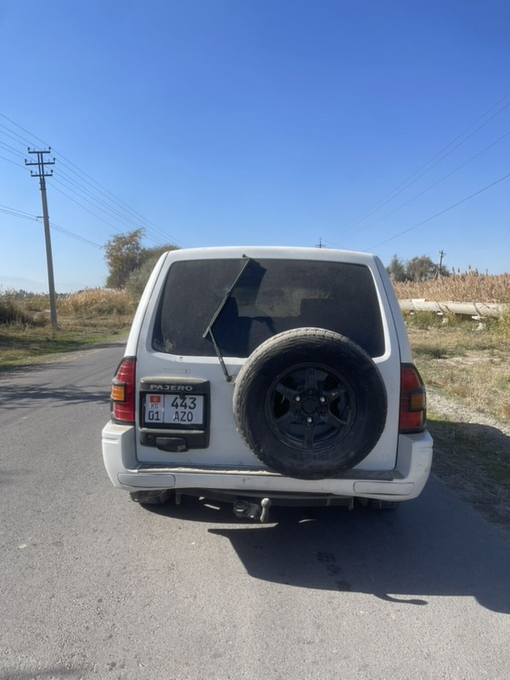 Mitsubishi Pajero: 1999 г., 2.9 л, Автомат, Дизель, Внедорожник: фото 2