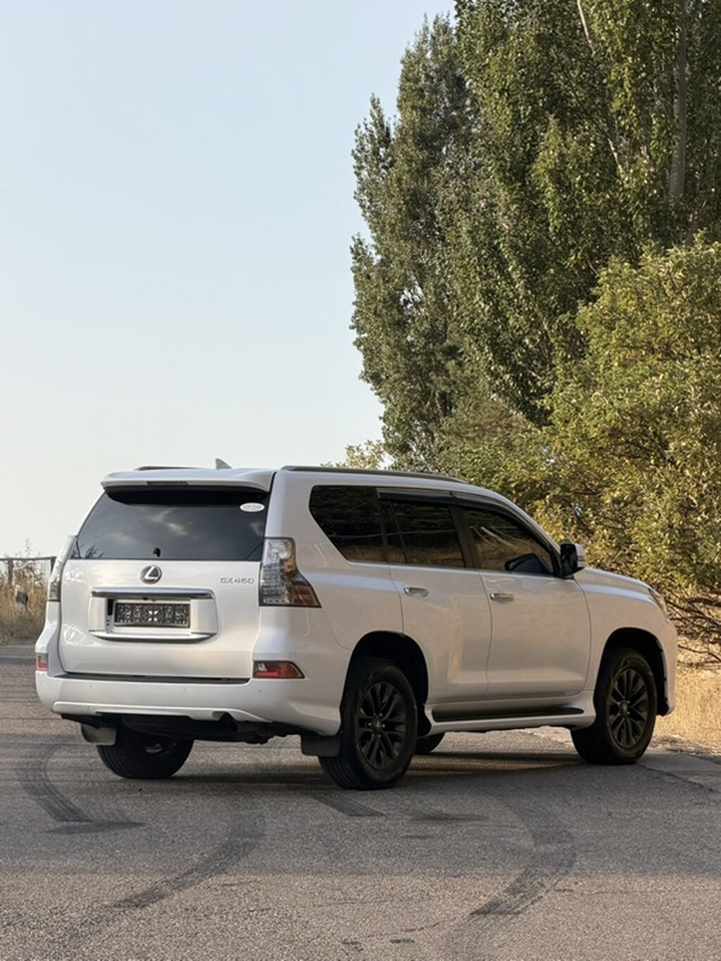 Lexus GX: 2020 г., 4.6 л, Автомат, Бензин, Внедорожник: фото 4