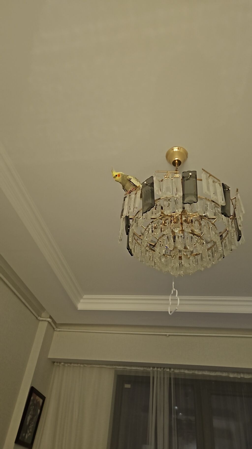 Yasamal, 2 otaqlı, Yeni tikili, m. İnşaatçılar, 37 kv. m