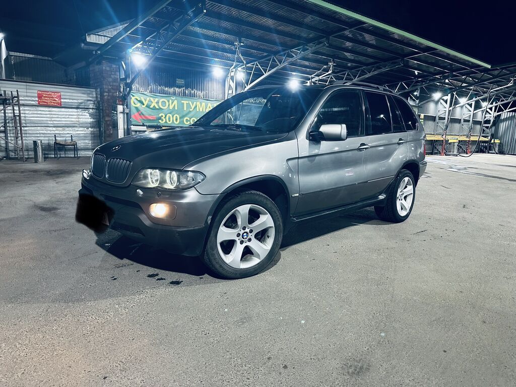 BMW X5: 2004 г., 3 л, Автомат, Дизель, Внедорожник: фото 8