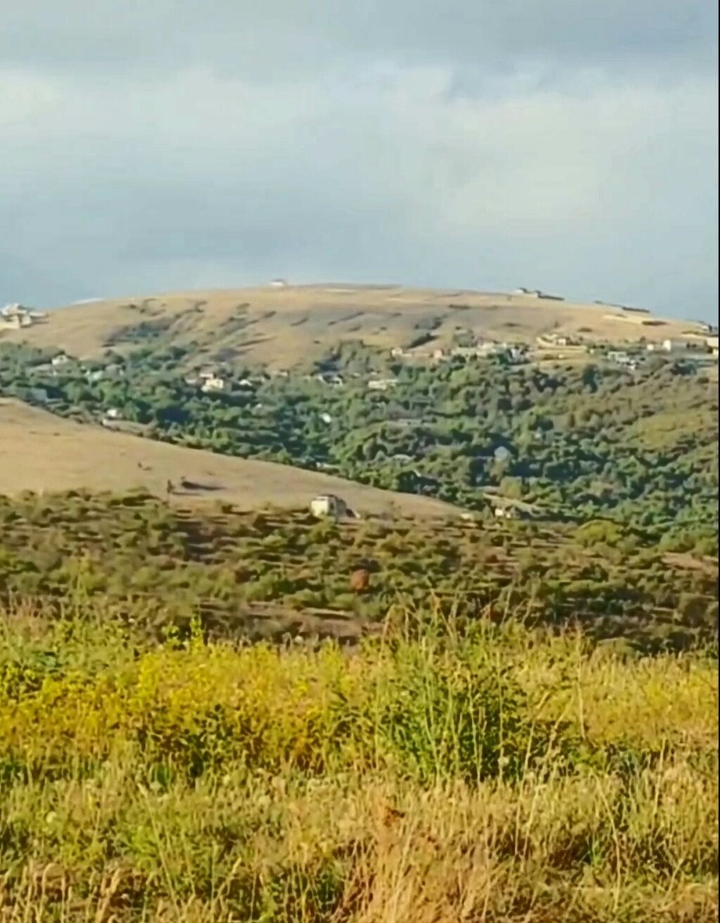1100 sot, Tikinti, Maklerlər narahat etməsin, Kupça (Çıxarış)