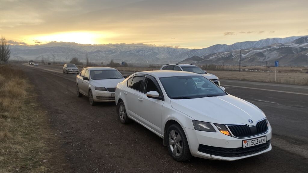 Skoda Octavia: 2018 г., 1.6 л, Автомат, Бензин, Седан: фото 4