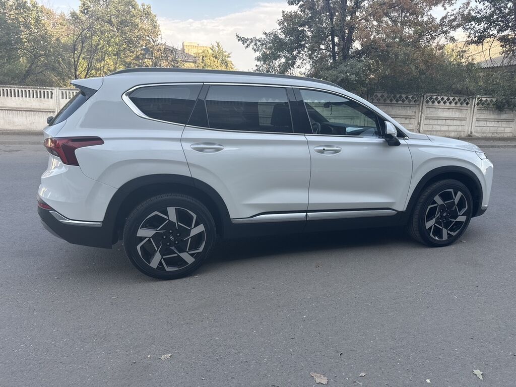 Hyundai Santa Fe: 2021 г., 2.2 л, Автомат, Дизель, Кроссовер: фото 8