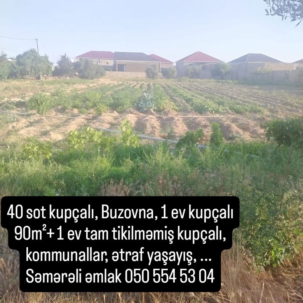 40 sot, Tikinti, Makler, Kupça (Çıxarış)