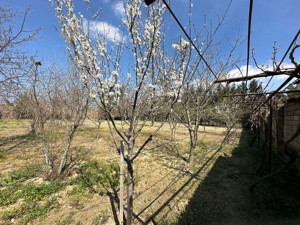 Mehdiabad, 110 kv. m, 4 otaqlı, Hovuzsuz, Artezian quyusu, Qaz, Telefon