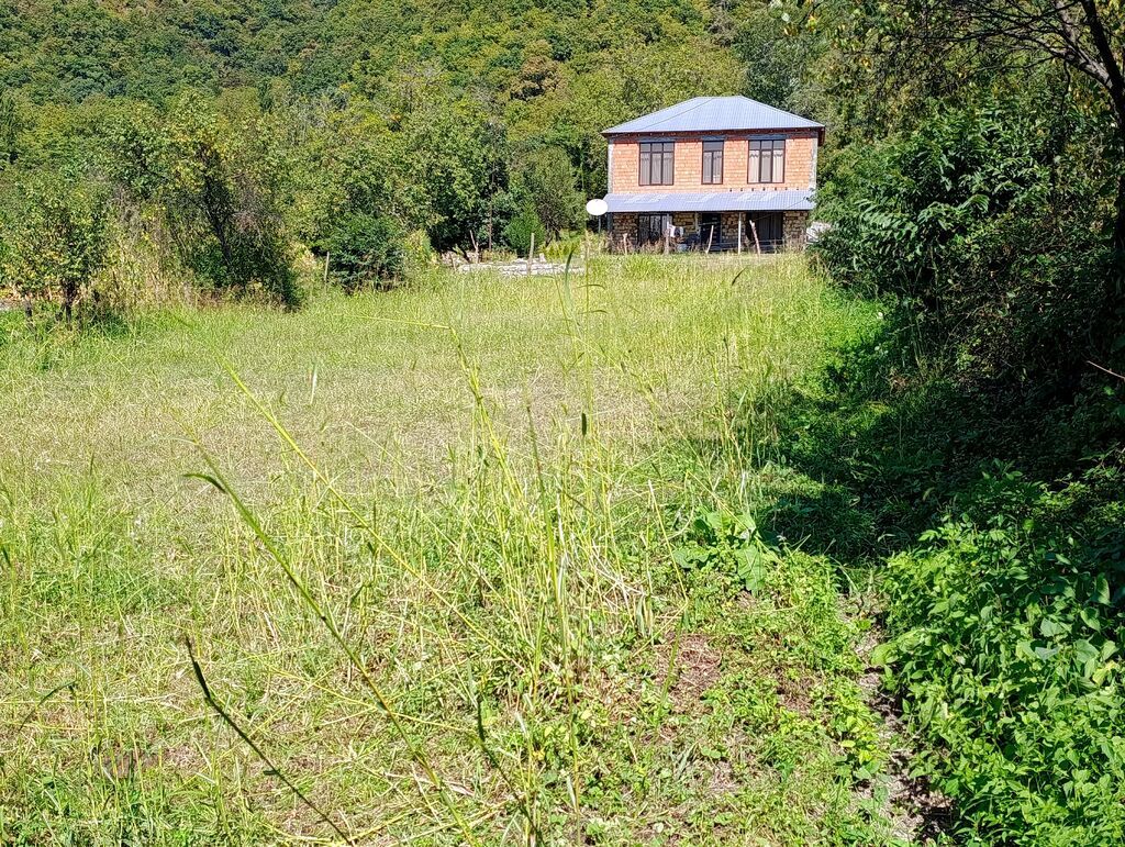 7 sot, Tikinti, Kupça (Çıxarış), Texniki pasport