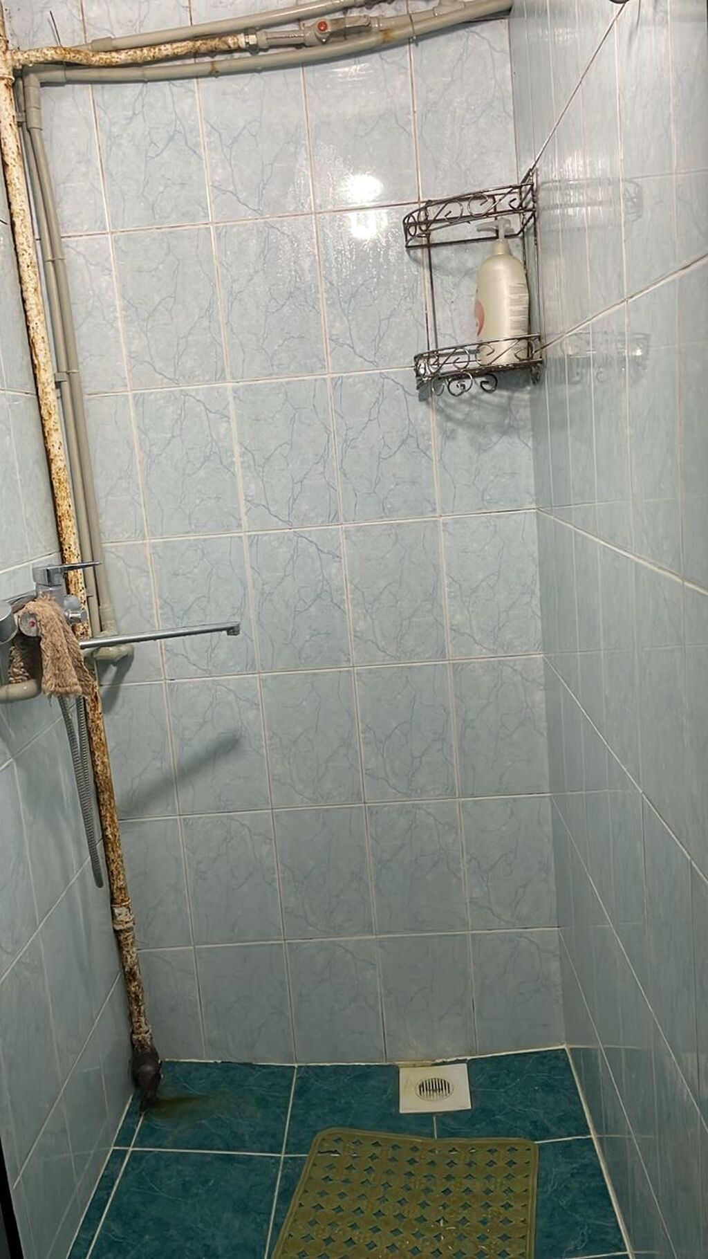 11 м², С мебелью: фото 4