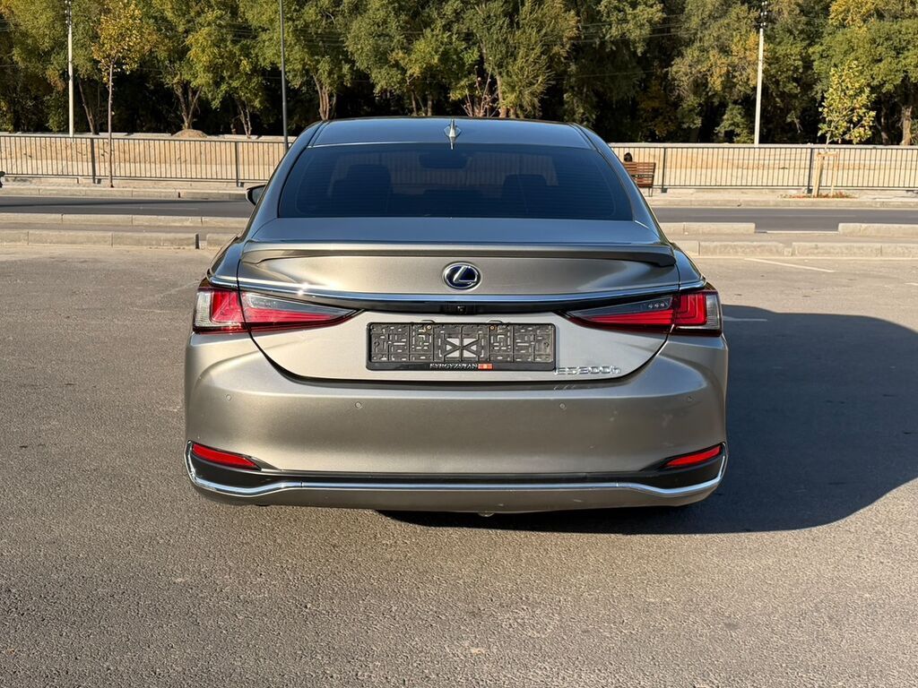 Lexus ES: 2019 г., 2.5 л, Автомат, Гибрид, Седан: фото 6