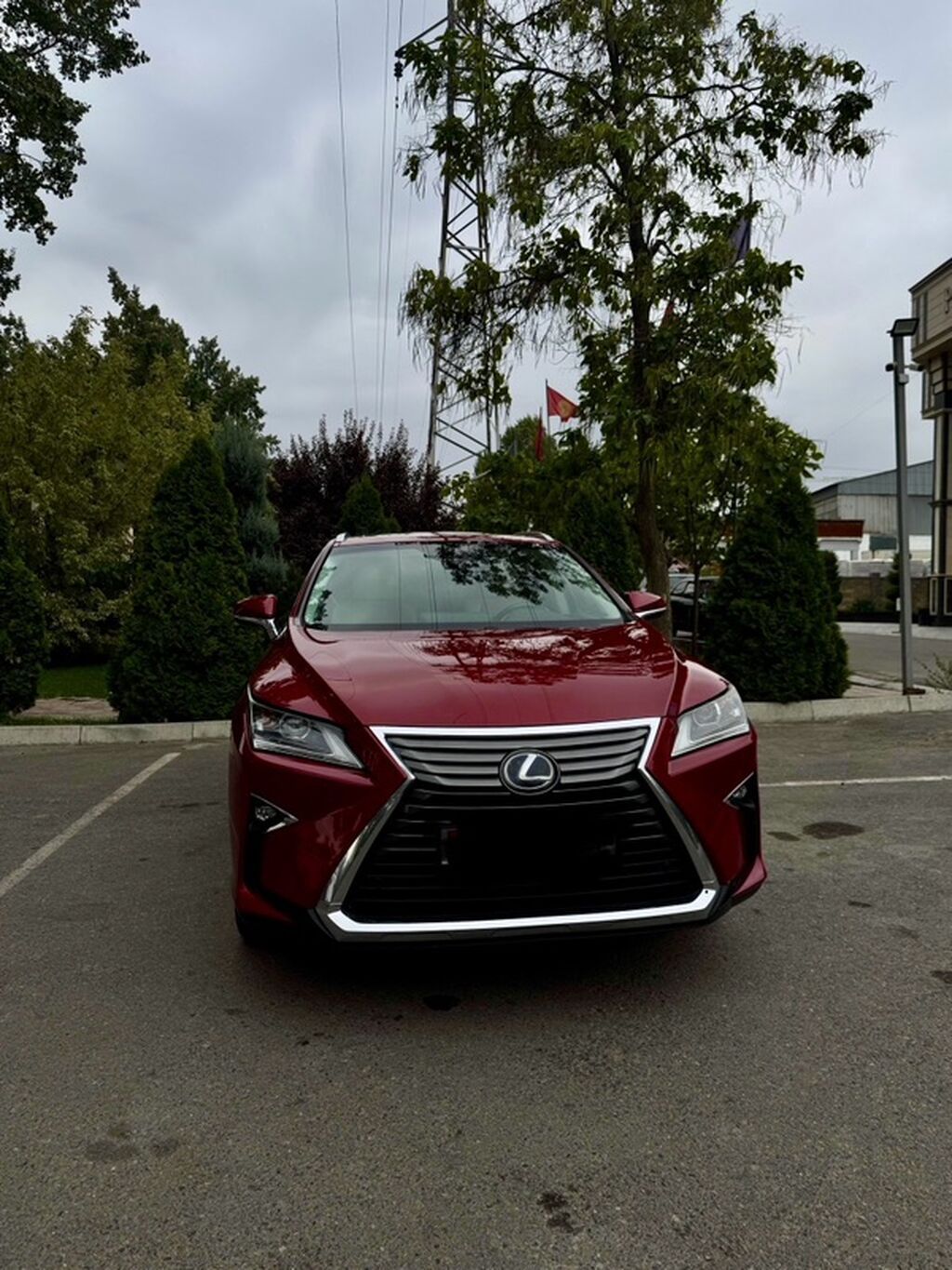 Lexus RX: 2017 г., Автомат, Кроссовер: фото 5