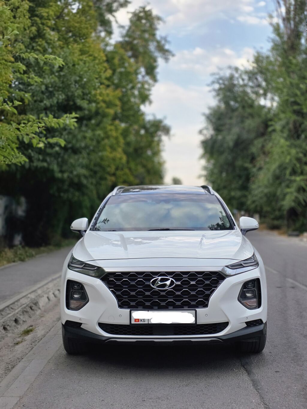 Hyundai Santa Fe: 2018 г., 2 л, Автомат, Дизель, Кроссовер: фото 3