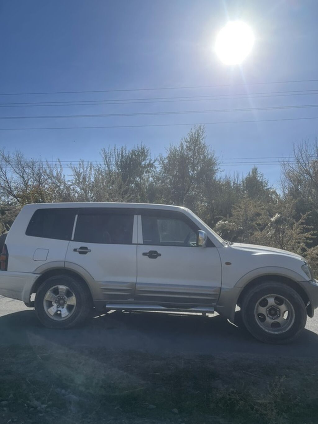 Mitsubishi Pajero: 1999 г., 2.9 л, Автомат, Дизель, Внедорожник: фото 4