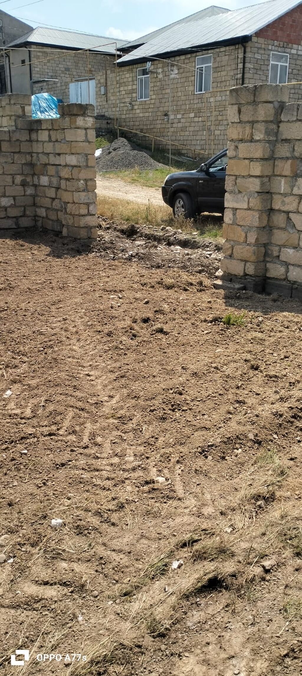Tikinti