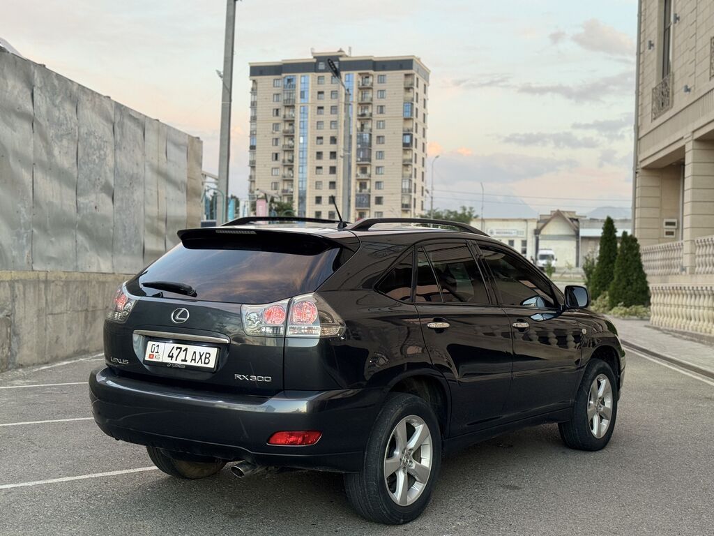 Lexus RX: 2004 г., 3 л, Автомат, Газ, Кроссовер: фото 3