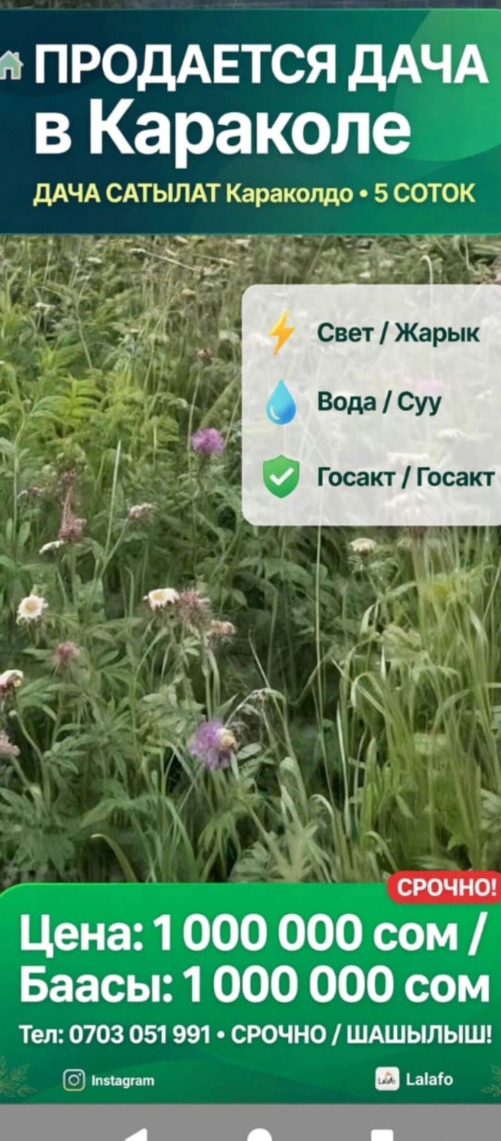 5 соток, Для строительства, Красная книга: фото 3