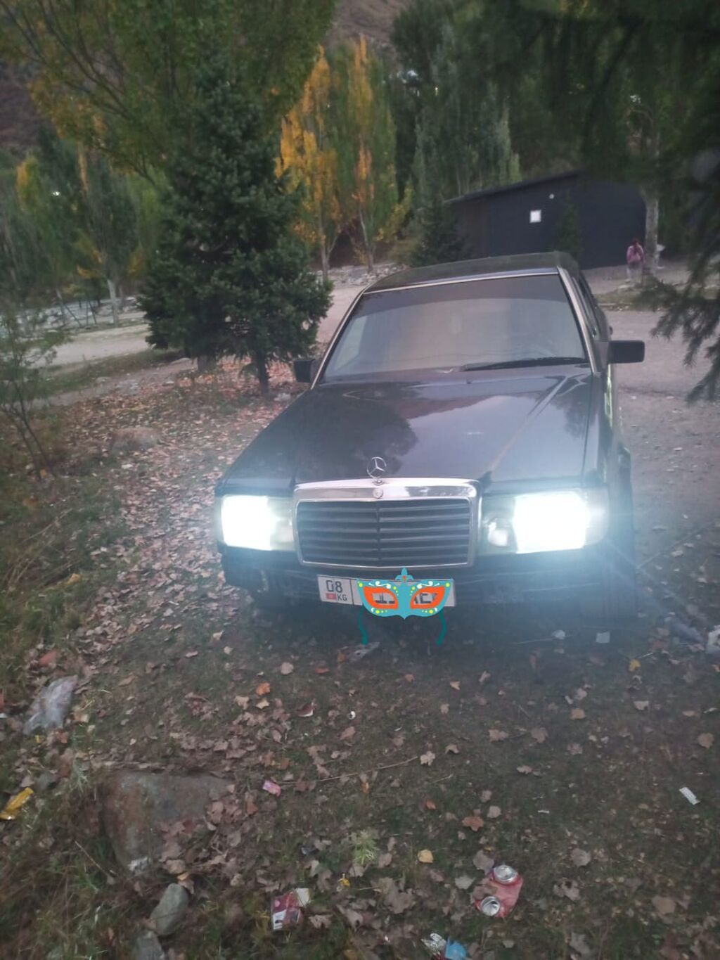 Mercedes-Benz W124: 1993 г., 3.2 л, Автомат, Бензин, Седан: фото 5
