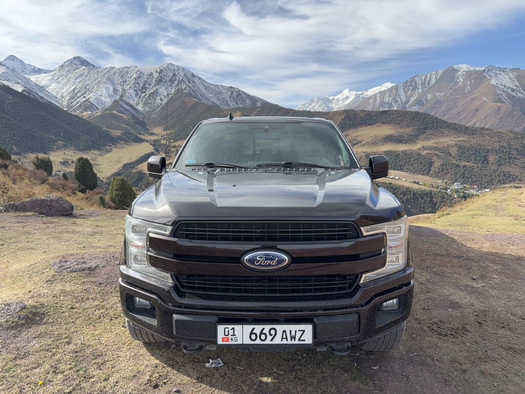 Ford F-150: 2019 г., 3.5 л, Автомат, Бензин, Пикап: фото 5