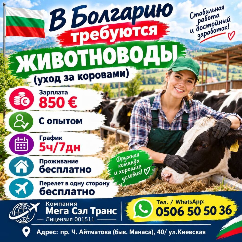 Животноводы в Болгарию (уход за коровами)