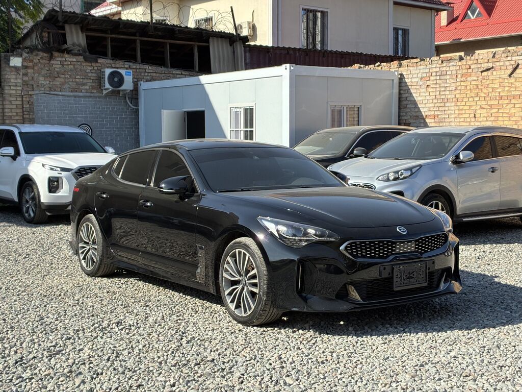 Kia Stinger: 2018 г., 2.2 л, Автомат, Дизель, Лифтбек: фото 2