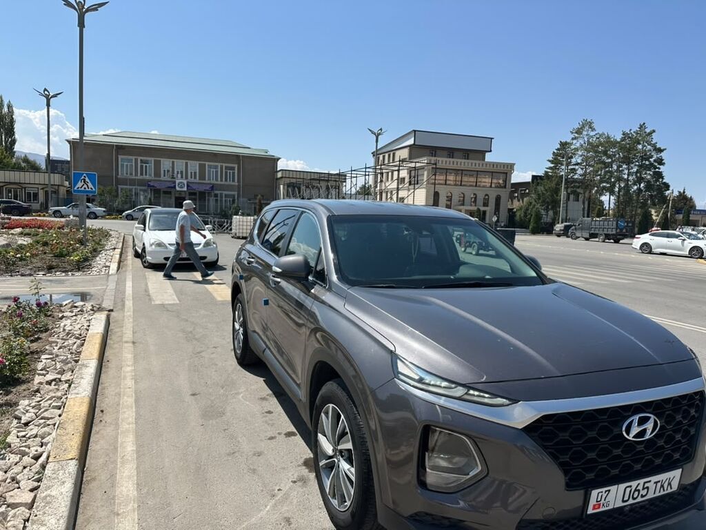 Hyundai Santa Fe: 2018 г., 2 л, Автомат, Дизель, Кроссовер: фото 1