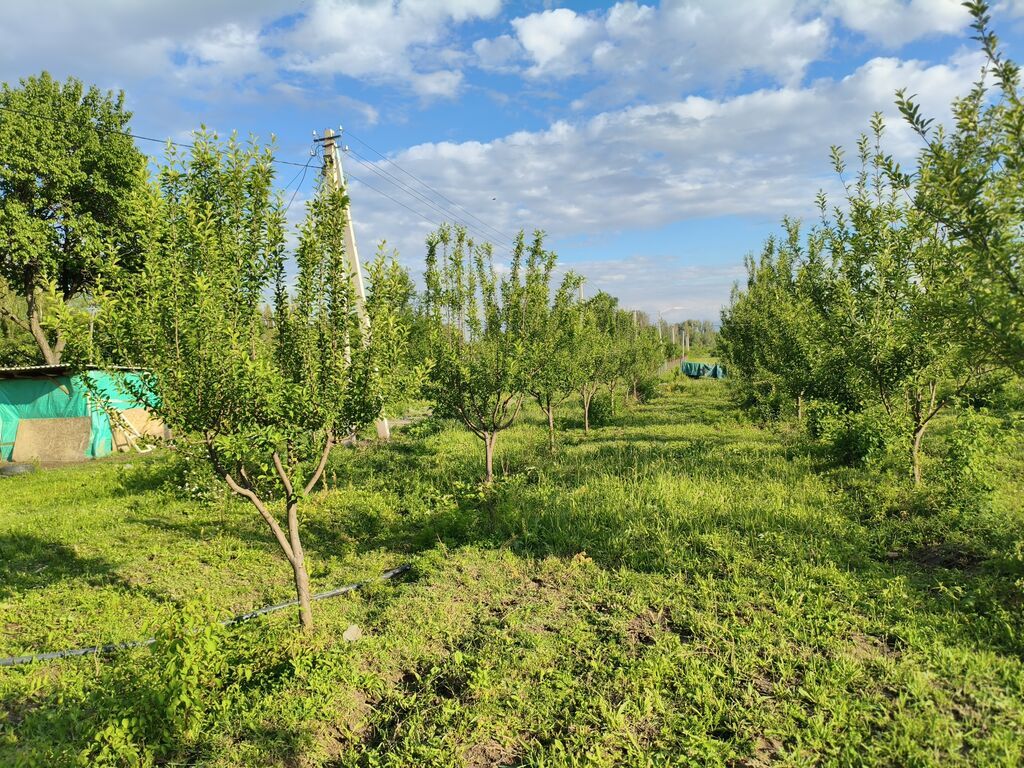 100 соток, Для бизнеса, Договор купли-продажи: фото 3