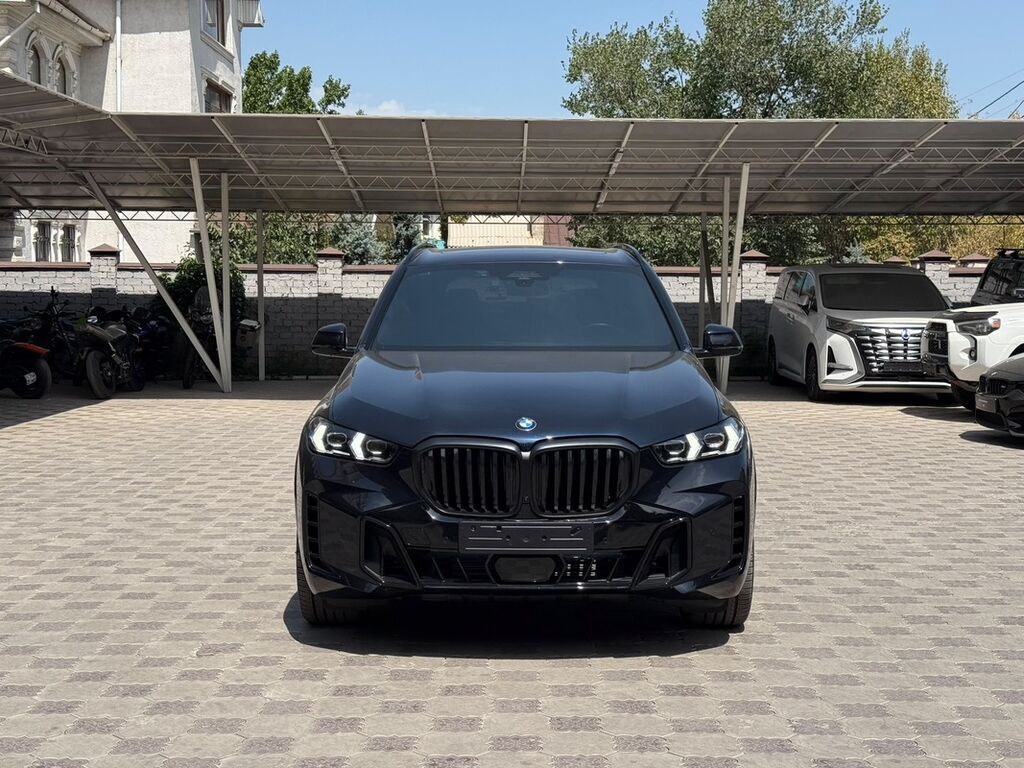 BMW X5: 2023 г., 3 л, Автомат, Бензин, Кроссовер: фото 2