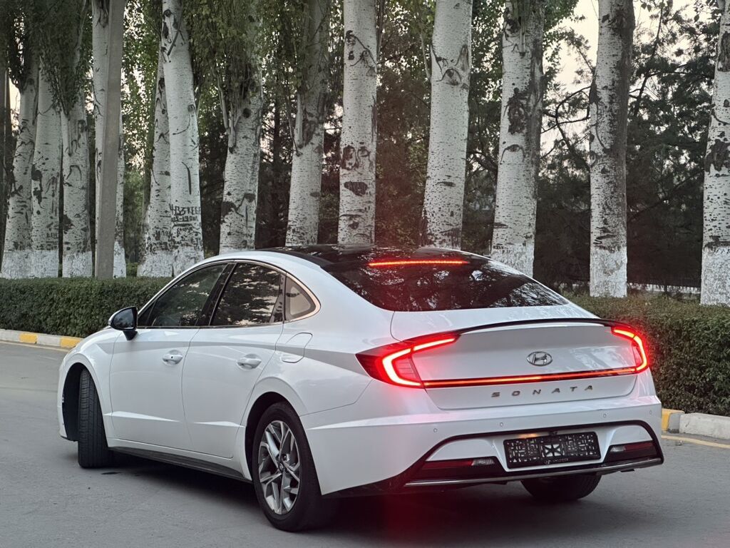 Hyundai Sonata: 2019 г., 2 л, Автомат, Газ, Седан: фото 2