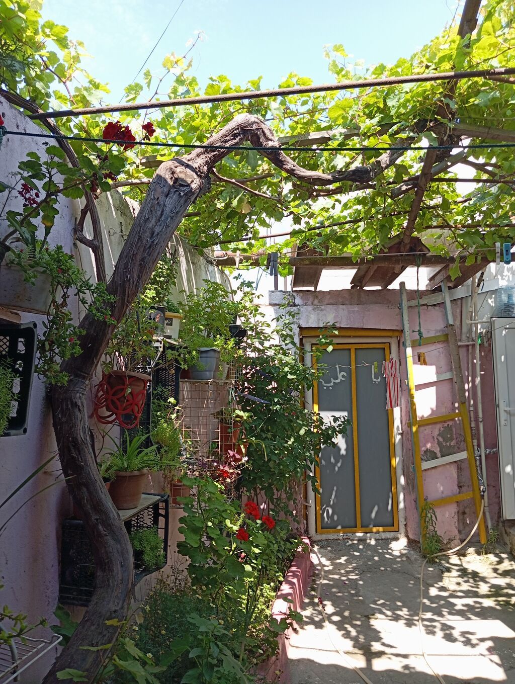 Suraxanı 2 otaqlı, 38 kv. m, Orta təmir