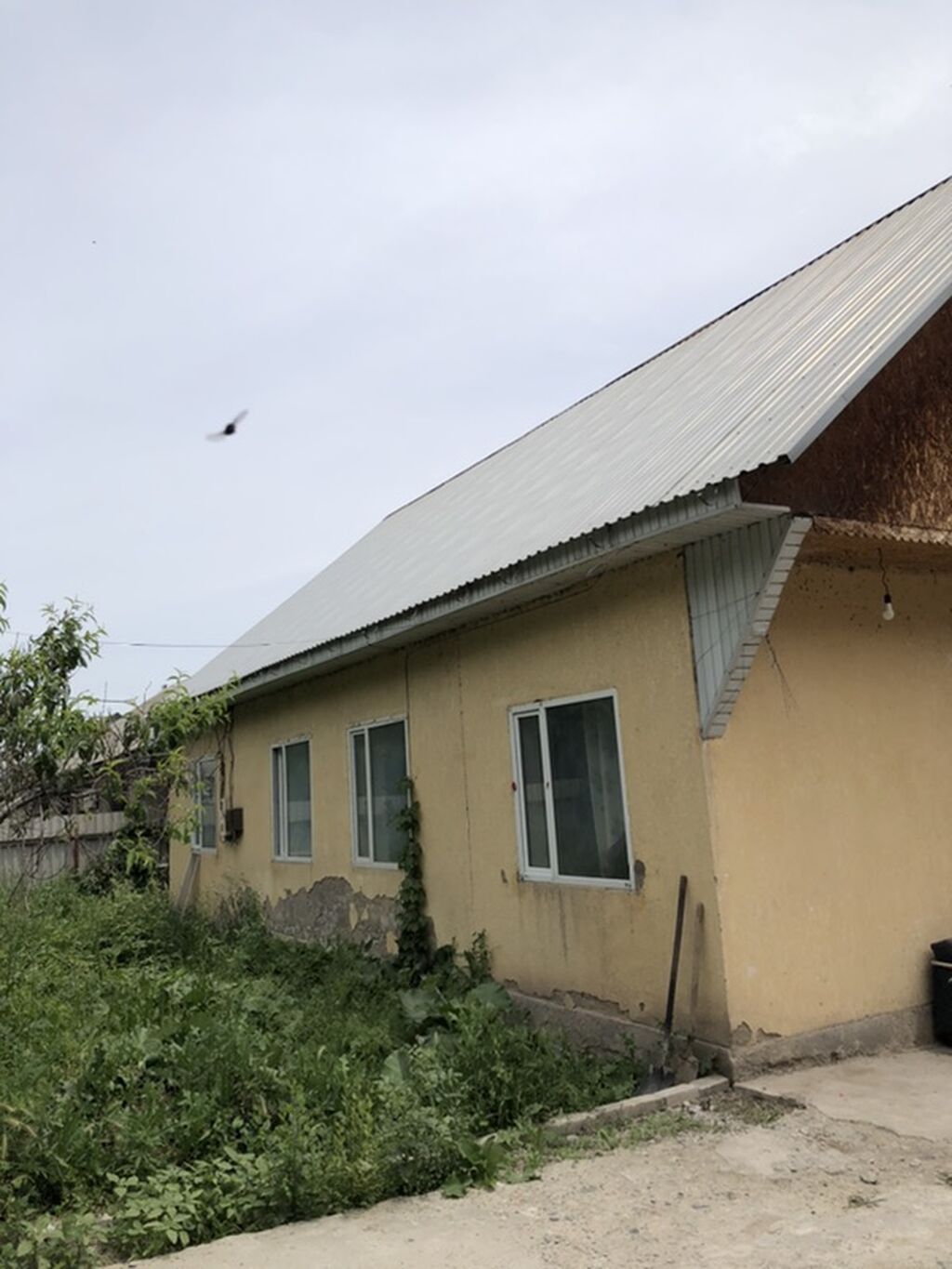 Срочно продаю дом с участком в Маевке (г.Бишкек) Собственник с: фото 4