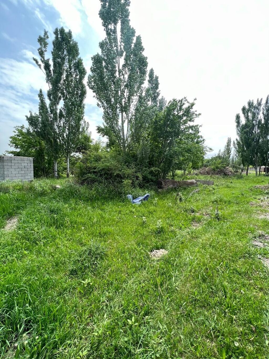 Продаю не достроенный домразмеры 11×15 фундамент, стены, колоны: фото 4