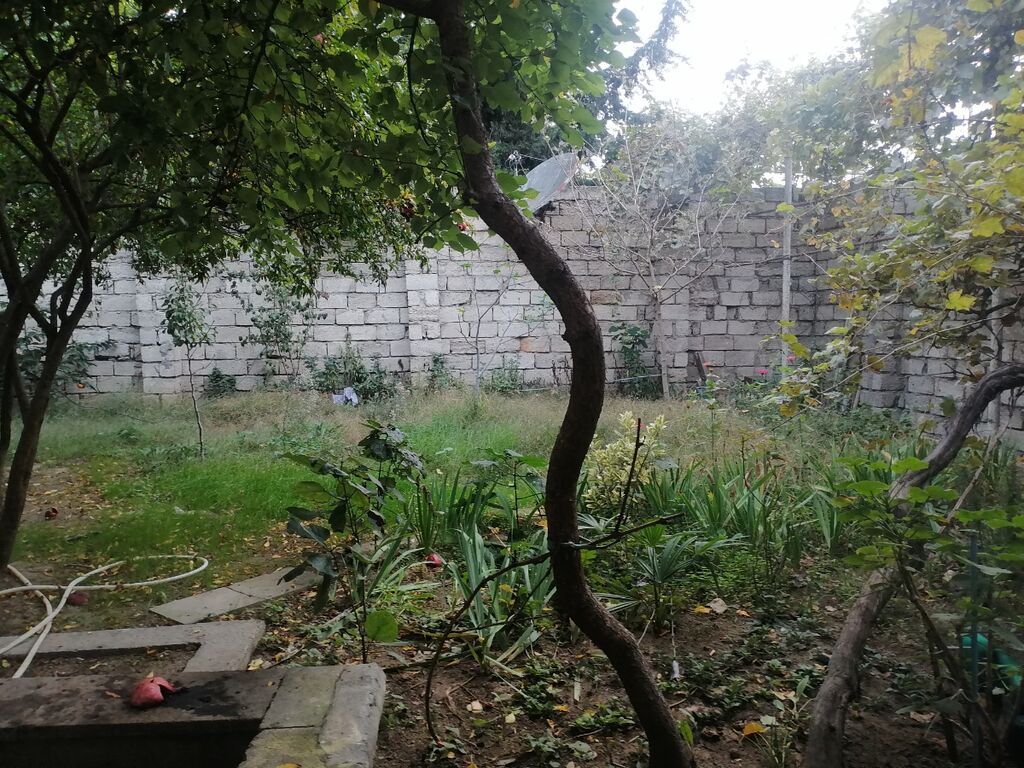 4-room house for rent in Qaraçuxur, 156 m², 450 AZN/mo, photo 3 / 12
