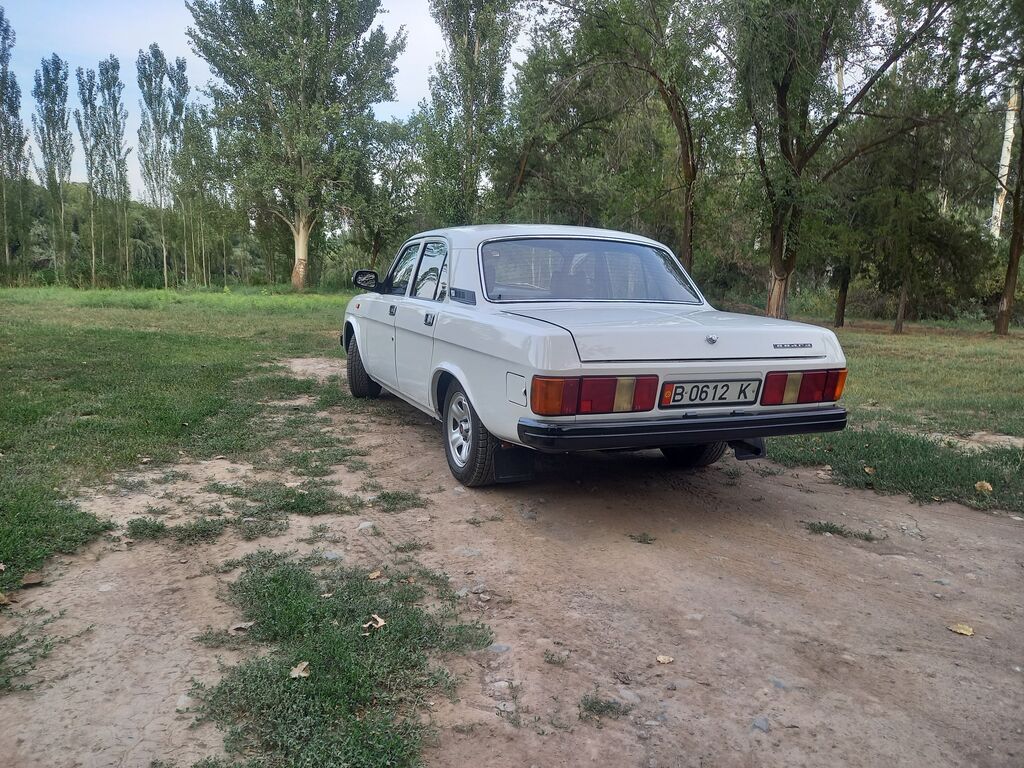 ГАЗ 31029 Volga: 1994 г., 2.4 л, Механика, Бензин, Седан: фото 4