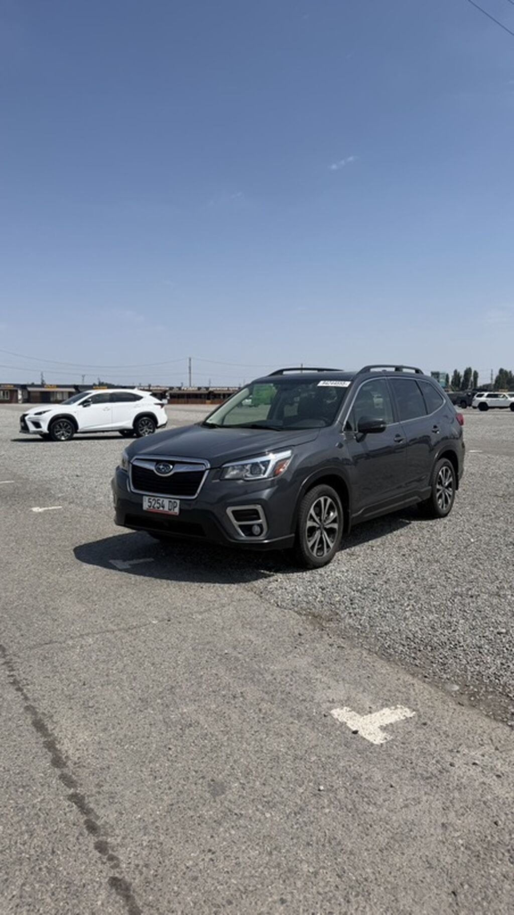 Subaru Forester: 2020 г., Кроссовер: фото 1